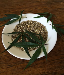 Cannabis-Samen, Hanf-Samen, Essen, Zutat, Hanf, Cannabis, gesund