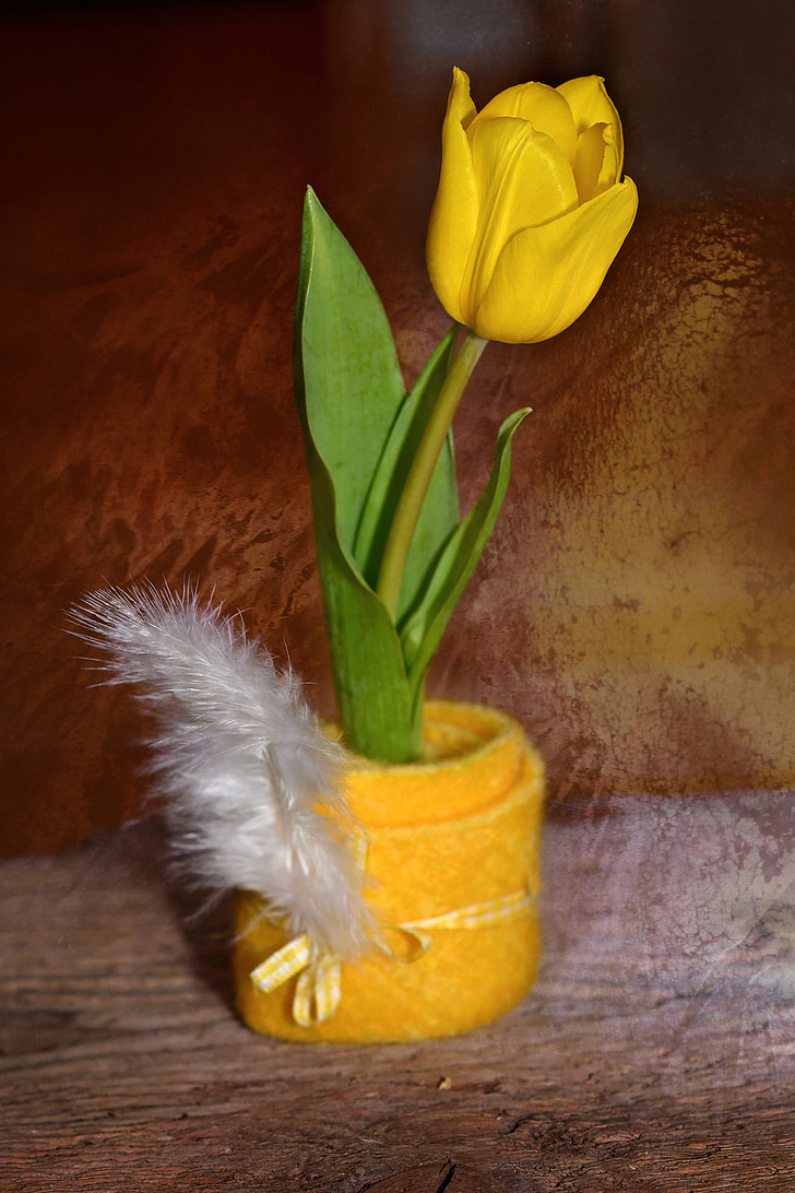 Tulipán, květ, schnittblume, Jarní květina, žlutá, žlutý květ, filc