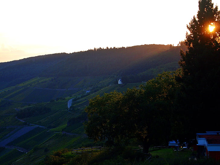 autumn, sunset, hills, forests, vineyards, dim, fields