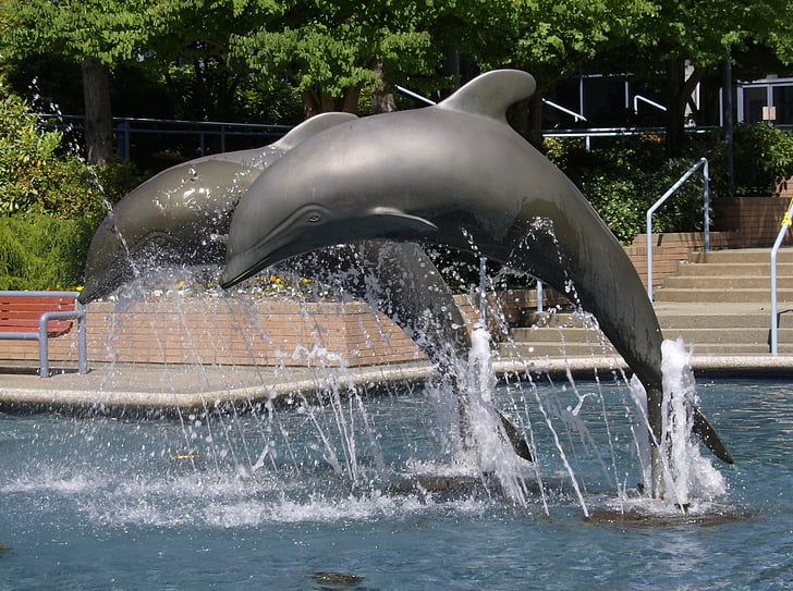 springvand, delfin, statue, skulptur, sprøjt, vand