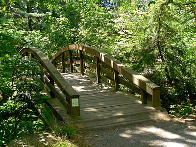 wooden, bridge, nature, wood, landscape, water, outdoor
