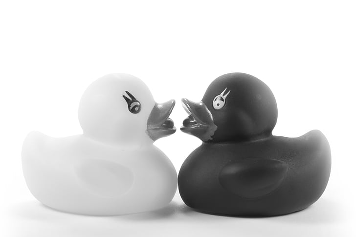 ducks, rubber ducks, toys, romantic, romance, kiss, before