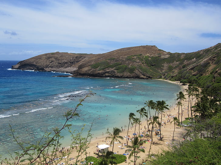 hanauma bay, booked, hawaii, sea, beach