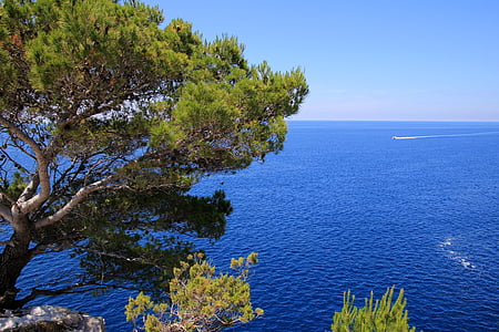 wallpaper-Download Photo, jūra, zila, veģetācija, zilā jūras, ūdens, scenics