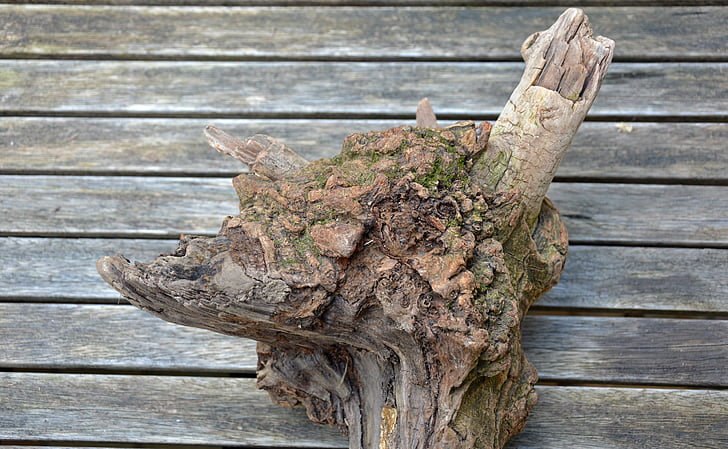 madera de deriva, madera, madera de playa, restos flotantes, Driftwood, naturaleza, Flotsam y jetsam