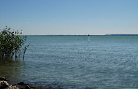 lake, balaton, blue, reed, shallow, nature, water