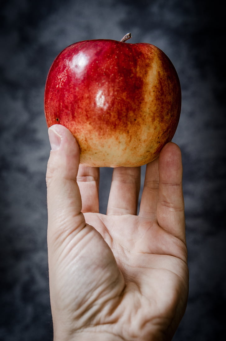 apple, the hand, education, school, knowledge, apples, red