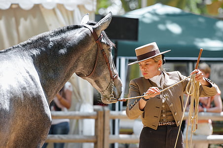 cavalo, adestramento, concurso, passeios a cavalo, desporto, espectáculo equestre, cavalos