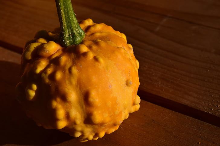 ornamental pumpkin, style bite, yellow, beautiful, autumn, late summer, decoration
