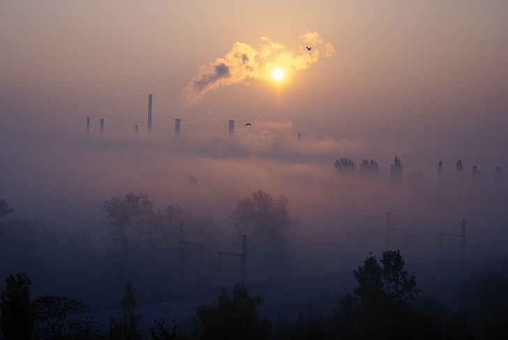 factory, sunrise, fog, train, nature, rails, transport