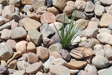 småsten, Rocks, Weed, stenar