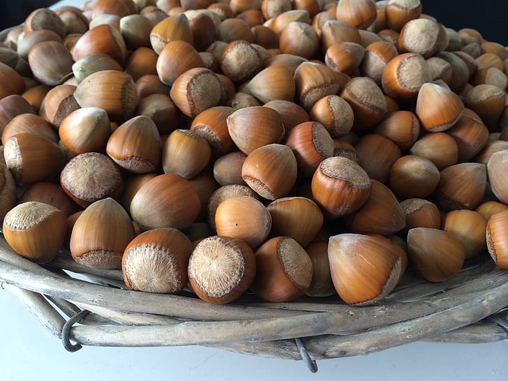 hazelnuts, nuts, basket, food, eat, fruit pod, hazelnut