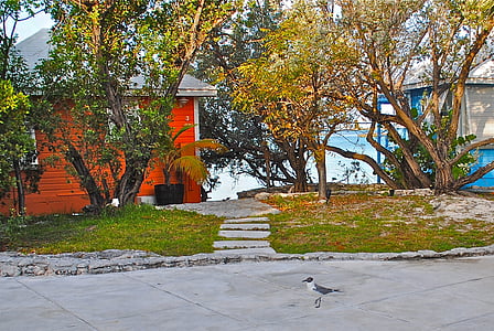 керкенез плитчина яхт клуб, Exumas основен, Бахамски острови, птица, Вили, курорт, Яхтклуб