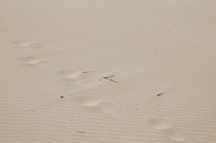 ทราย, ลายนิ้วมือ, พื้นที่, ธรรมชาติ, ความเรียบง่าย