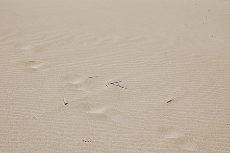 sable, empreintes digitales, espace, nature, simplicité