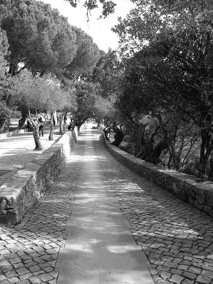 Португалия, Черно и бяло, Градина, път, каменна зидария, Градина разходка, растения