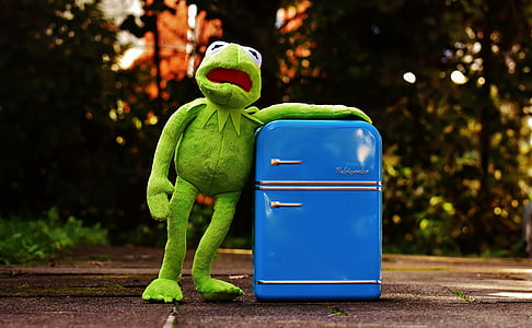 Kermit, rana, refrigerador, gracioso, retro, verde, juguetes