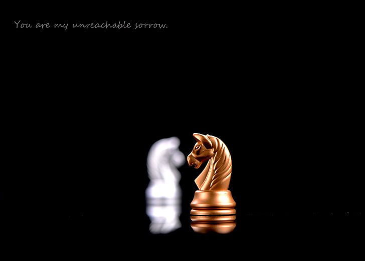 chess, love, story, success, business