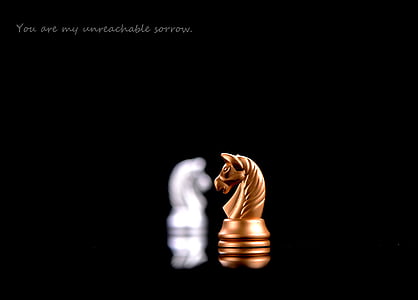 jeu d’échecs, amour, histoire, succès, entreprise