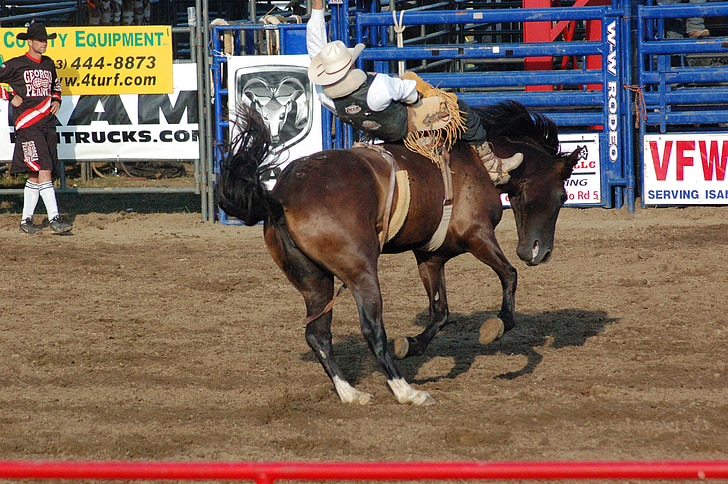 Rodeo, hest, hesteryggen, cowboy, Sport rase, konkurranse, konkurranseidrett