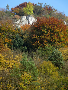 de founding fathers, Polen, het nationaal park, landschap, herfst, rotsen, boom
