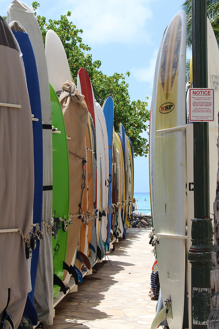 surfebrett, Boards, stranden, surfebrett, surfer, sport, Surf
