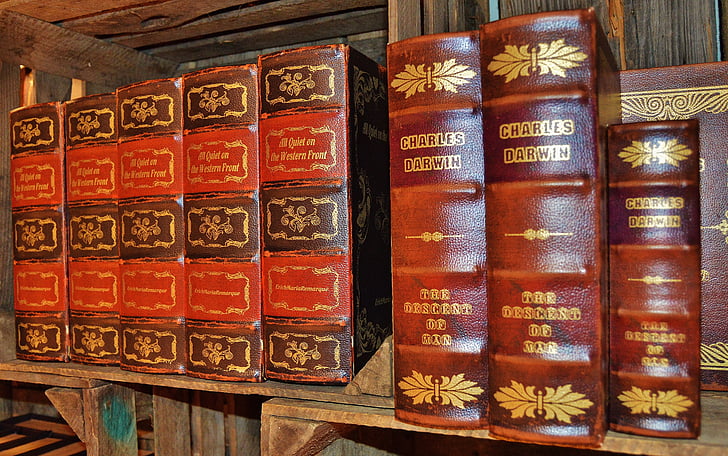 books, antiquariat, leather covers, old, box, spine, brown