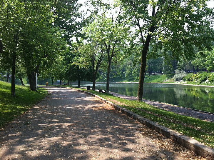 Montreal, árboles, Parque, agua, verde, verano, tranquilo