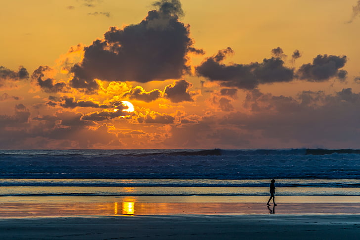 person, walking, sea, sunset, beach, sand, sunlight