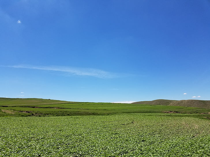 sinine taevas, värske õhu, pilve, loodus, Hill, maaelu stseen, põllumajandus