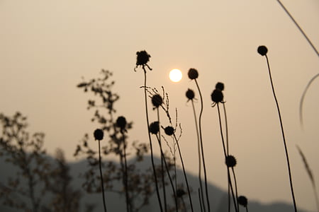 natural, pôr do sol, China