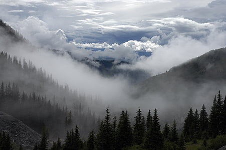nevoeiros, cobrindo, montanha, cinza, céu, nuvens, montanhas