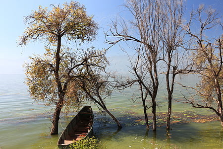 Lago Lugu, árbol, barco, propiedades, otoño, de la nave