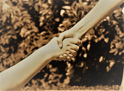 ręce, przyjaźni, Pomoc, razem, miłość, drżenie rąk, uścisk dłoni