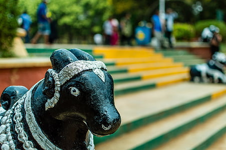 Bull, helligdommen, Nandi, India, tempelet, figur, statuen