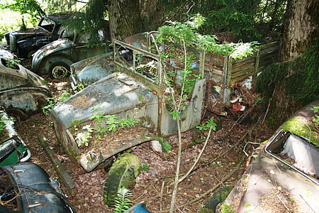 teherautó, autó temető, régi, rozsda, Oldtimer, elhagyott, szemét