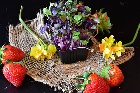 딸기, 유채과 야채, sango 무 유채과 야채, 봄, 먹으십시오, 건강 한, 채식