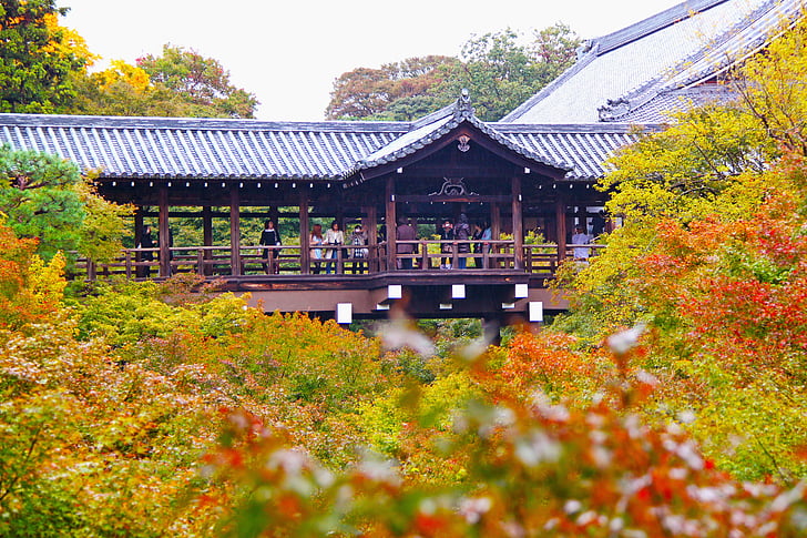 храма, tofukuji Храм, Храм, декори, кленови листа, цветни, Киото
