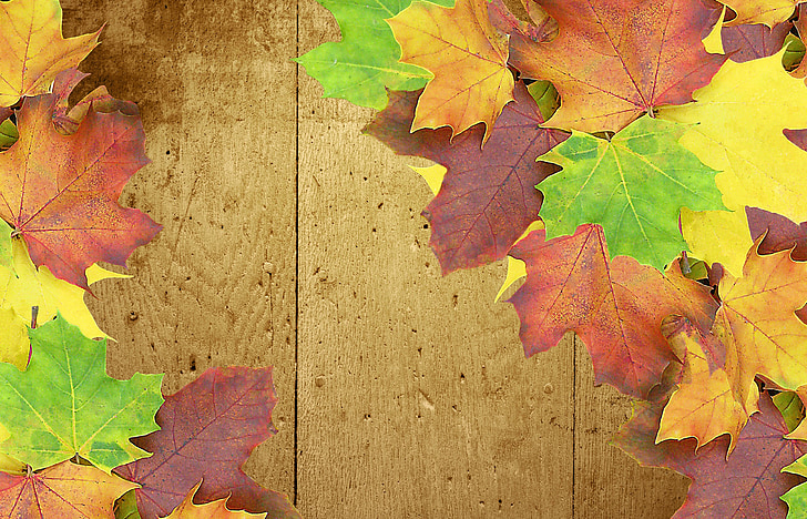 podzim, pozadí, dřevo, barevné, se objeví, wellness, rámeček