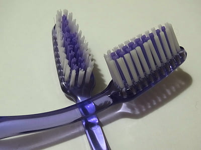 tooth brushes, bristles, dental care, studio shot, close-up, no people, indoors