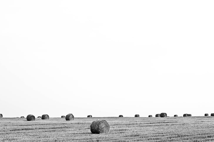 black, white, photo, farm, haystacks, nature, sky