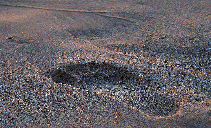 Fußabdruck, Fußabdruck im sand, nassen sand, Sandkörner, barfuß, Strand, Sommer