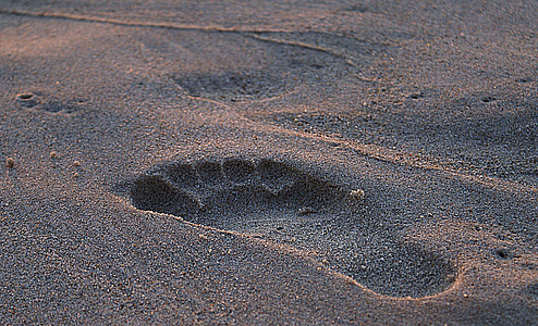 voetafdruk, voetafdruk in het zand, nat zand, korrels van zand, blote voeten, strand, zomer