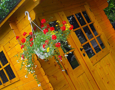 Casa, madera, kôlňa, pote de flor, Geranios, flores