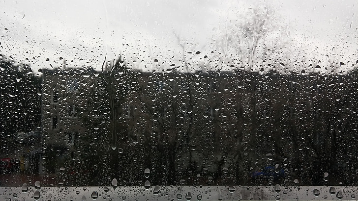 regn, Polen, hösten, ensamhet, sorg, grå, regndroppe