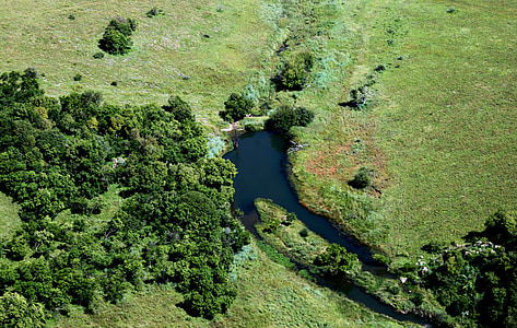 foto aérea, verde, grama, água, barragem, Mato Grosso, natureza