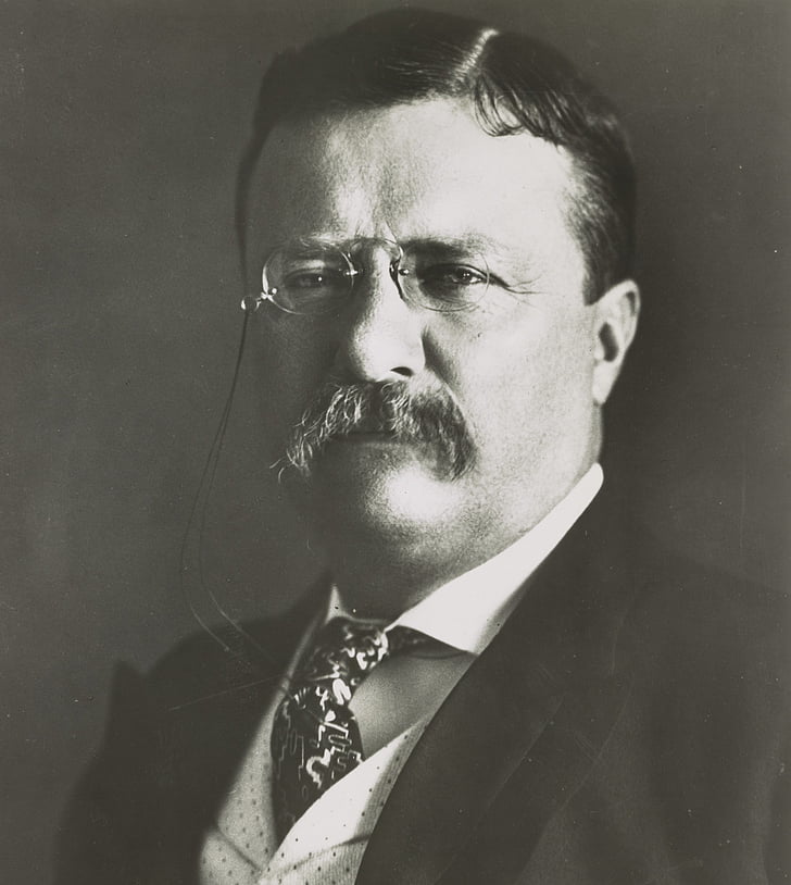 Theodore roosevelt, polityk, człowiek, osoba, portret, monochromatyczne, czarno-białe