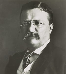 Theodore roosevelt, politikacı, adam, kişi, portre, tek renkli, siyah ve beyaz