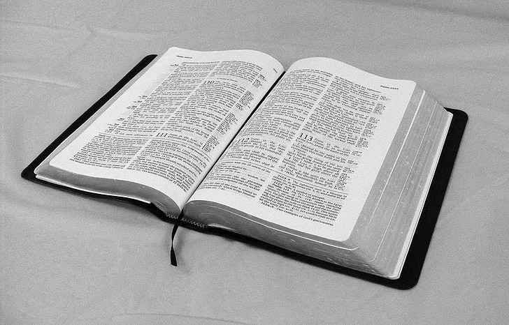 Bíblia, llibre, text, paraula, l'escriptura, fe, llegir