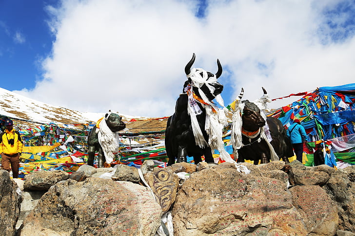 Tibet, montanhas de Mila, yakou, cobre e yak, céu azul, nuvem branca, Ben-Hadade